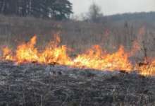 На юге области потушили крупный ландшафтный пожар